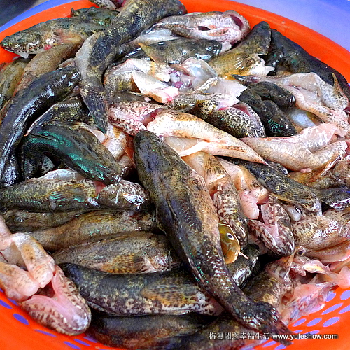 [安徽]黃田小魚吃得爽 酒足飯飽踏歸程