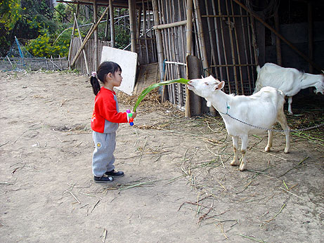 20031024_lara_autumn_outing_05.jpg