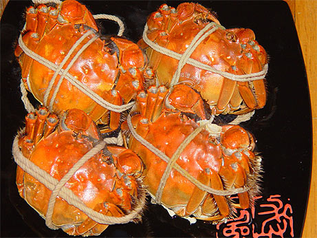 大閘蟹