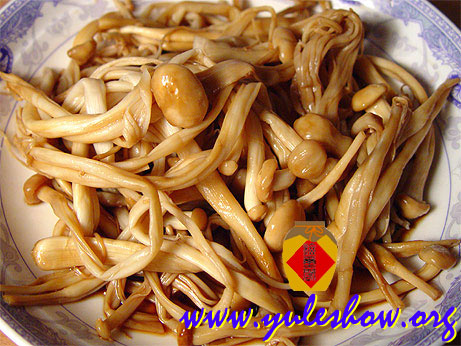 20031111_cooking_03.jpg