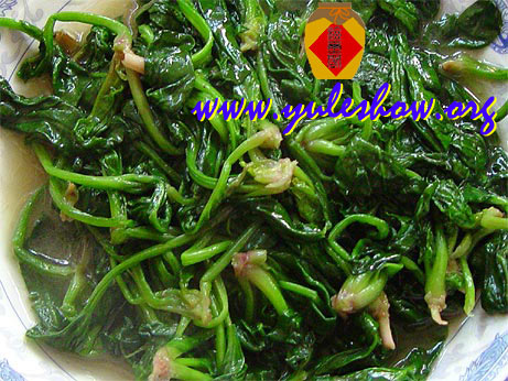 20031122_cooking_09.jpg
