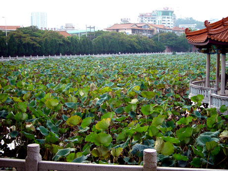 20031102_xiamen_07.jpg