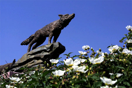 CSU, San Bernardino